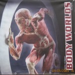 עולמות הגוף במוזיאון מדכטק