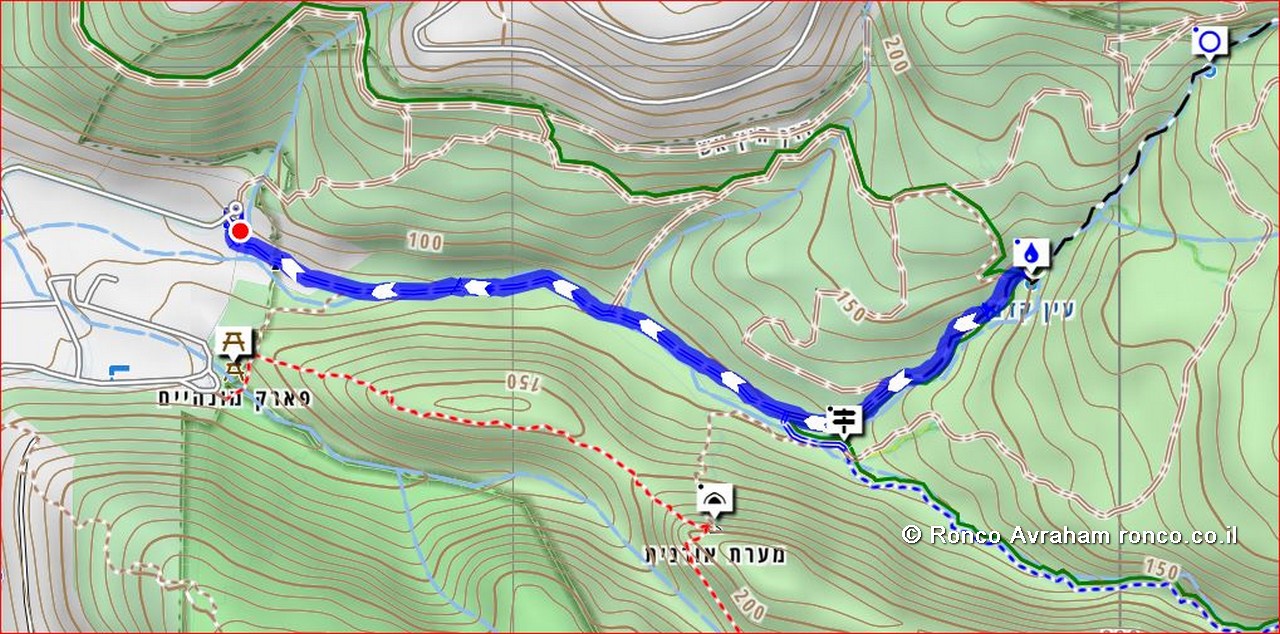 מסלול הליכה למעיין מסלולי טיול רטובים למשפחות