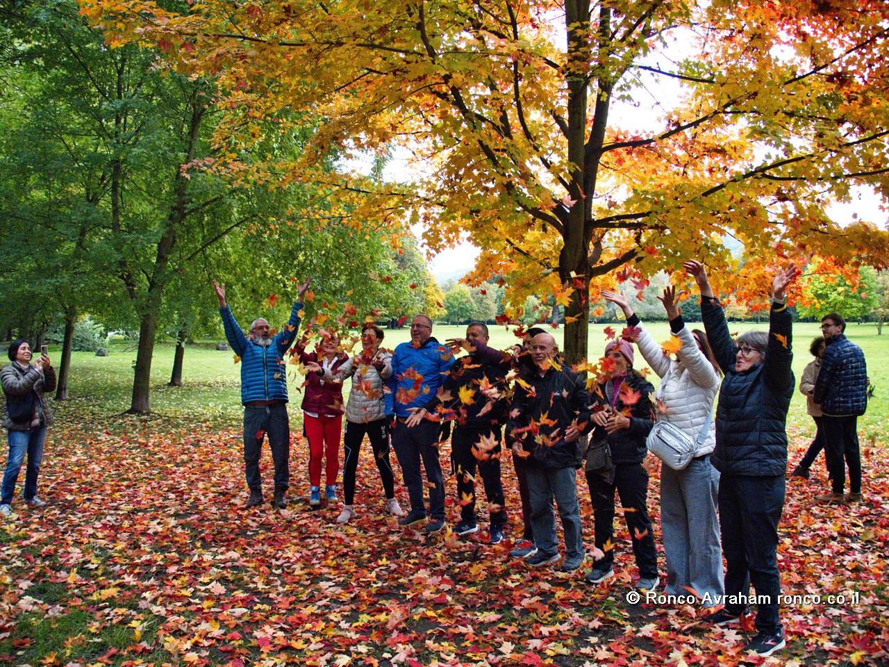 בוהמיה השווצרית - מסע לאורך האלבה ו