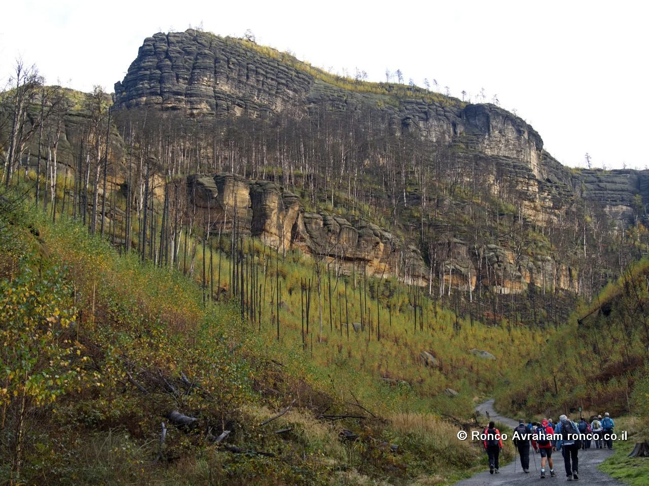 המסלול ליום החמישי - המסלול לקשת, לעיירה ינוביץ ולשוק התאילנדי