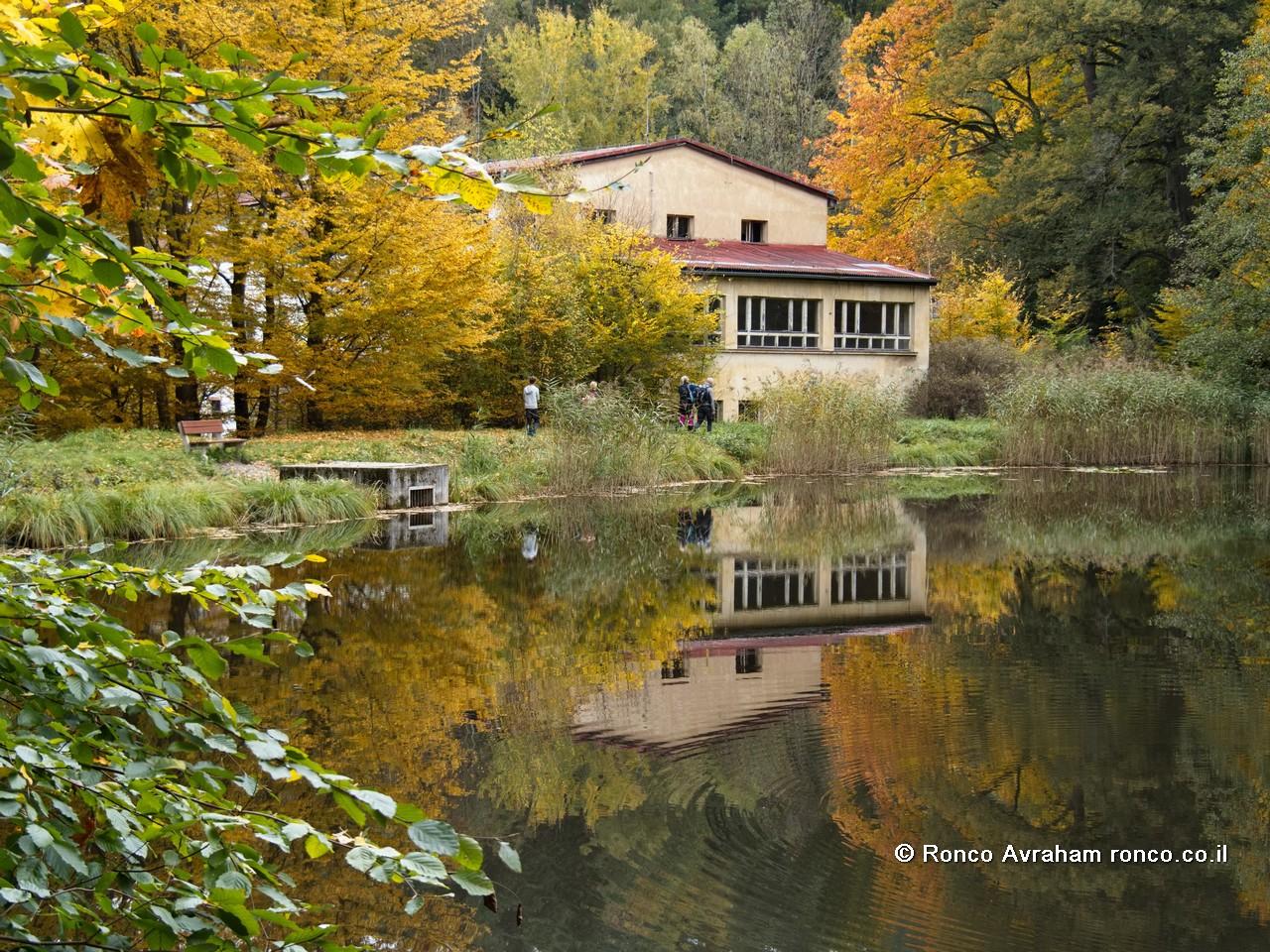  יום המשלב רומנטיקה של טבע עם אתגר פיזי! 