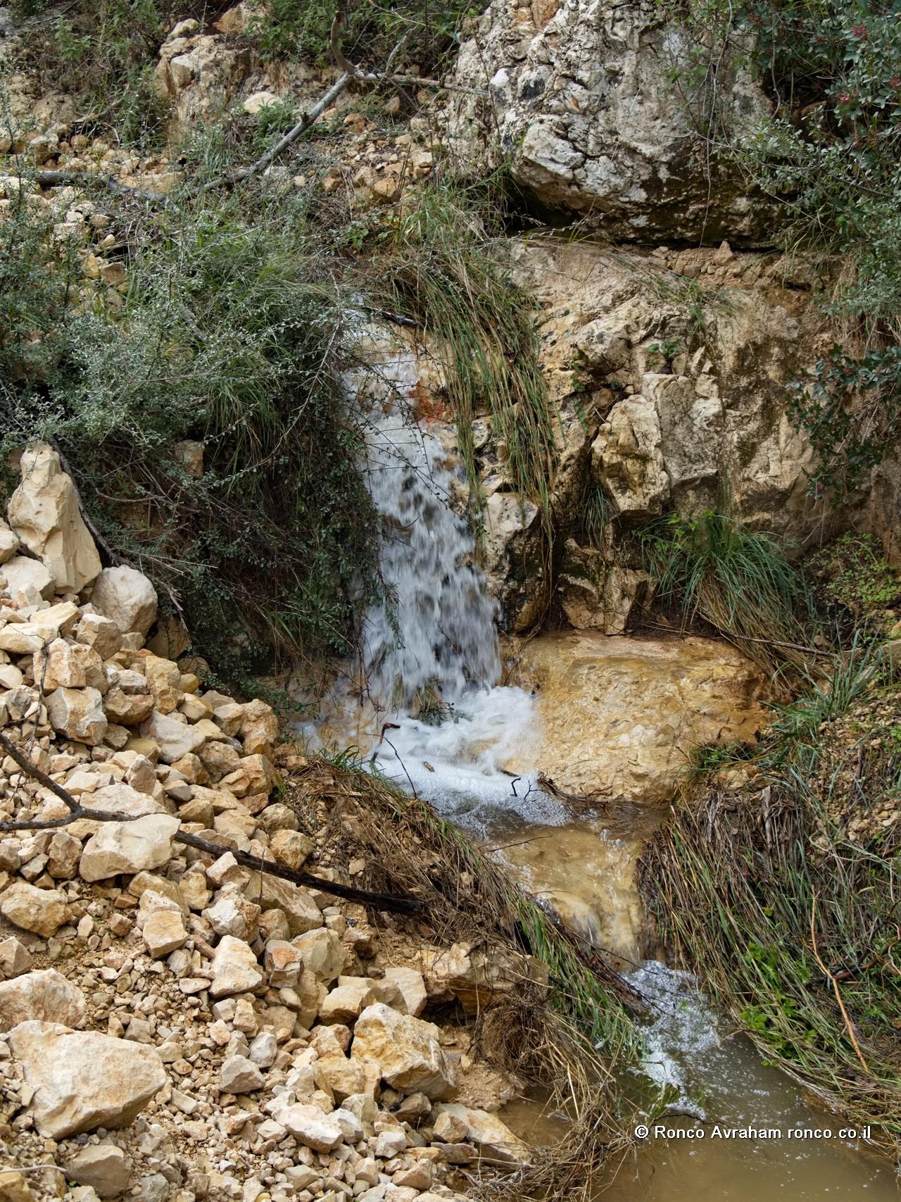 נחל הטייסים, נחל כסלון