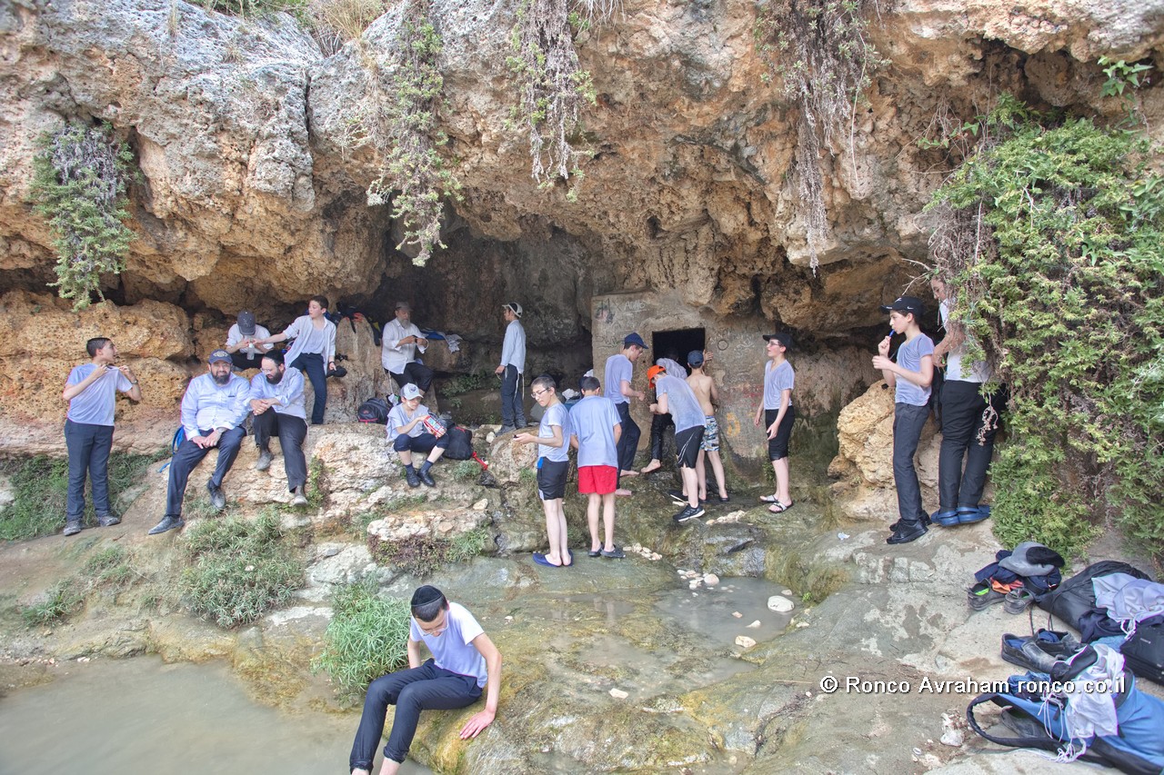 עין קדם מסלולי טיול רטובים למשפחות